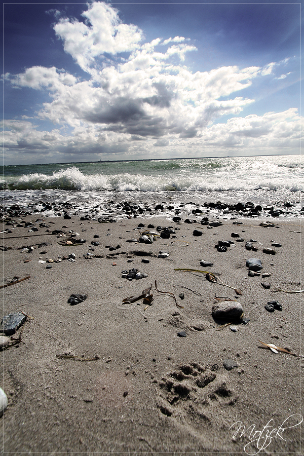 Foto von Fehmarn Strand Wasser Steine