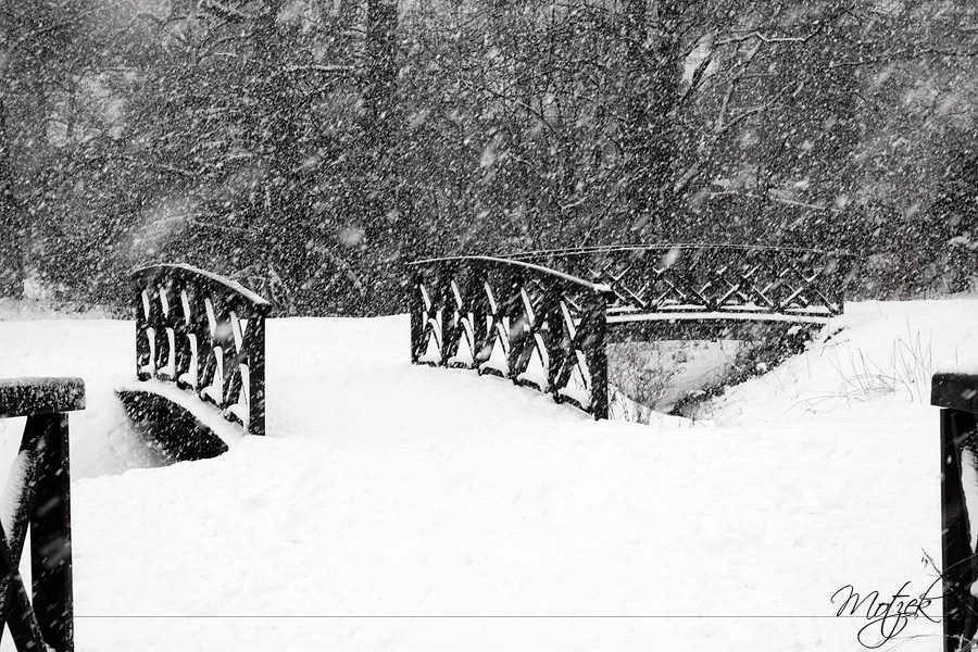 Foto von Hamburg Snow