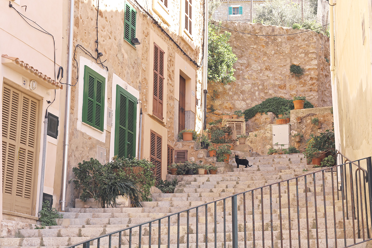 Foto von Charming street of Estellencs with traditional houses, green shutters, and a cat on stone steps, capturing Mallorca's essence.