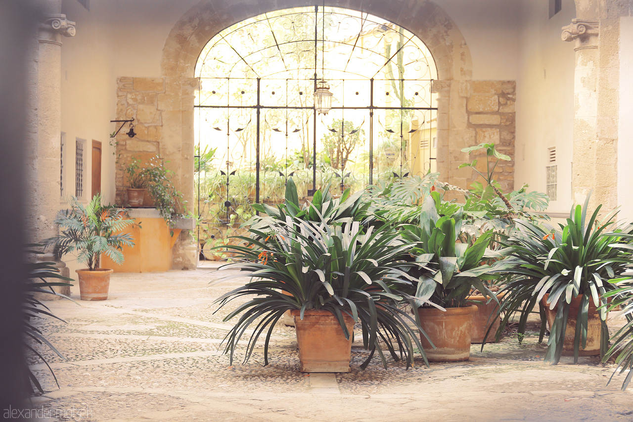 Foto von Sunlight bathes a serene courtyard in Palma, framed by stone arches and lush, potted flora.