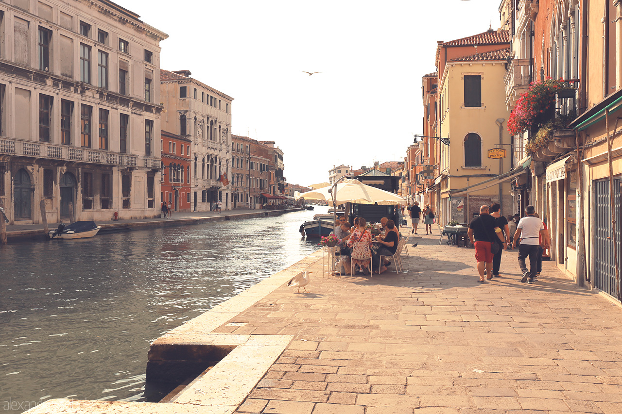 Foto von A sun-kissed Venetian canal lined with historic buildings, bustling with life and leisure under Italy's azure skies.