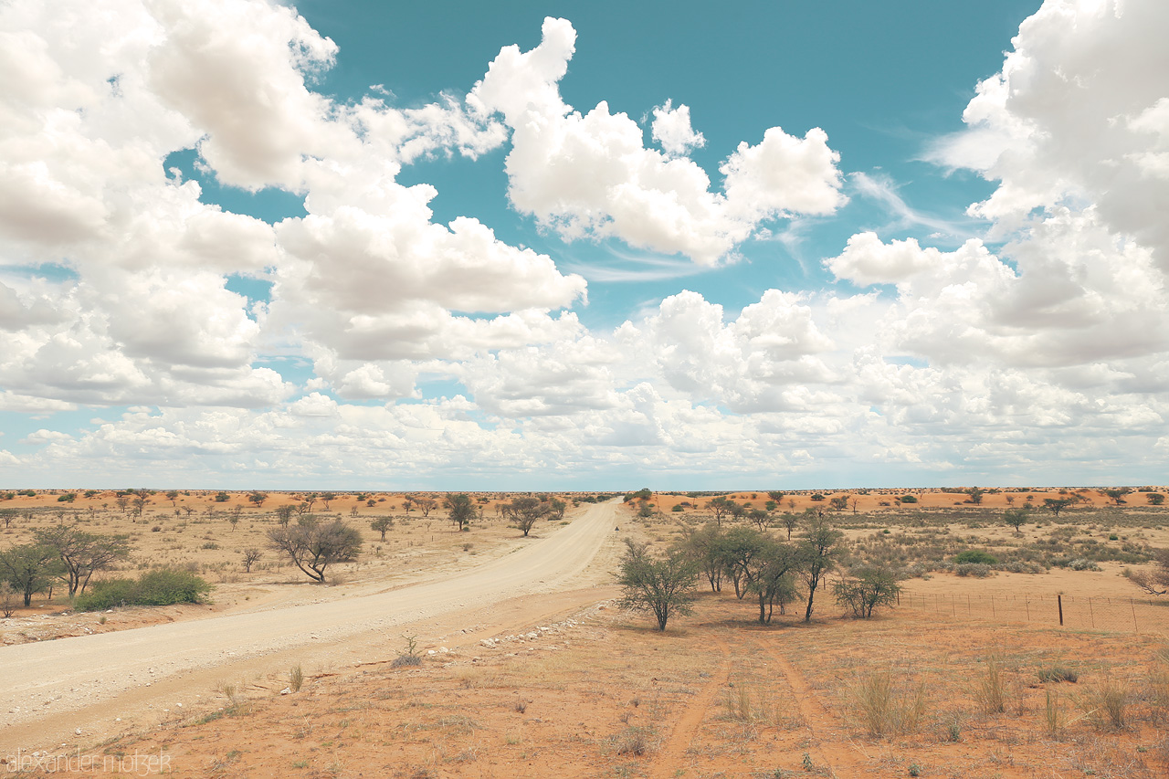Namib Diverge Foto von A dusty road splits under a vast sky, with sparse trees dotting the Hoachanas semi-desert landscape.
