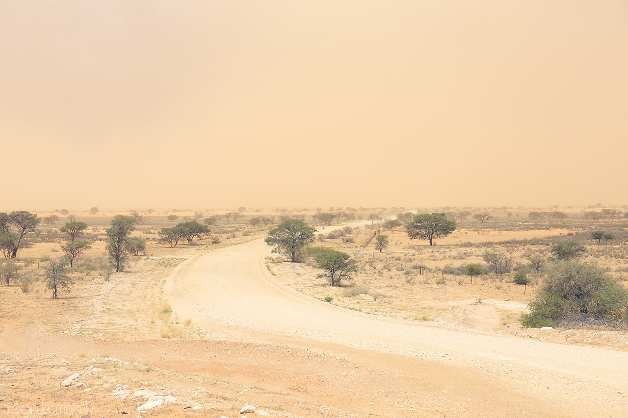 Entry to Kalahari Foto von A dusty road winds through the tranquil Namibian savanna near Hoachanas, adorned with acacia trees lining the path towards the red Kalahari desert.