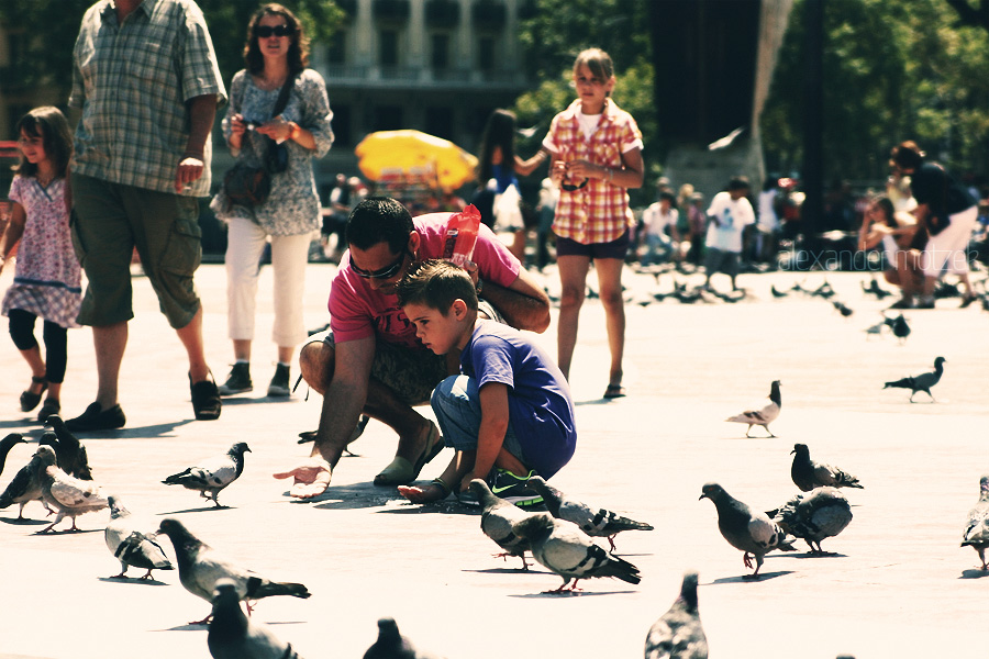 Plaza de Palomas Foto von A father and son share a moment feeding pigeons in Barcelona's bustling plaza, capturing the local charm and vibrant life of the city.