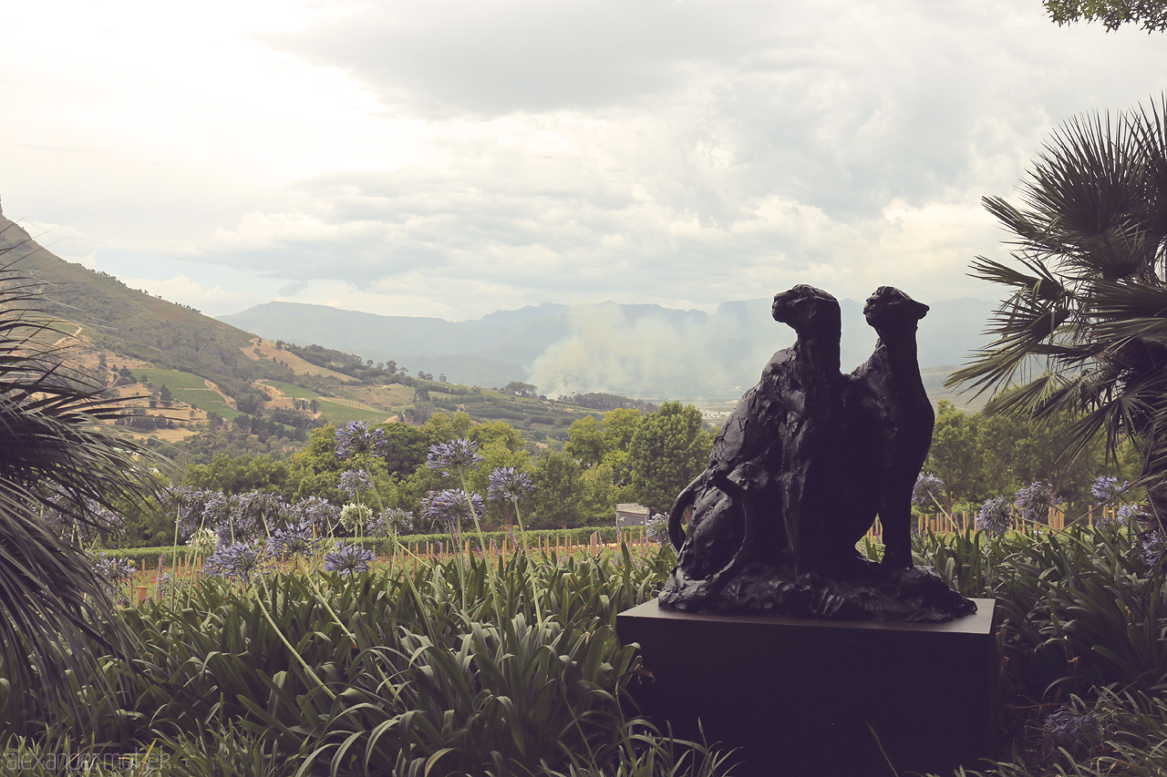 Foto von A majestic leopards statue overlooks the lush vineyards of Stellenbosch, surrounded by blooming flora and rolling hills.