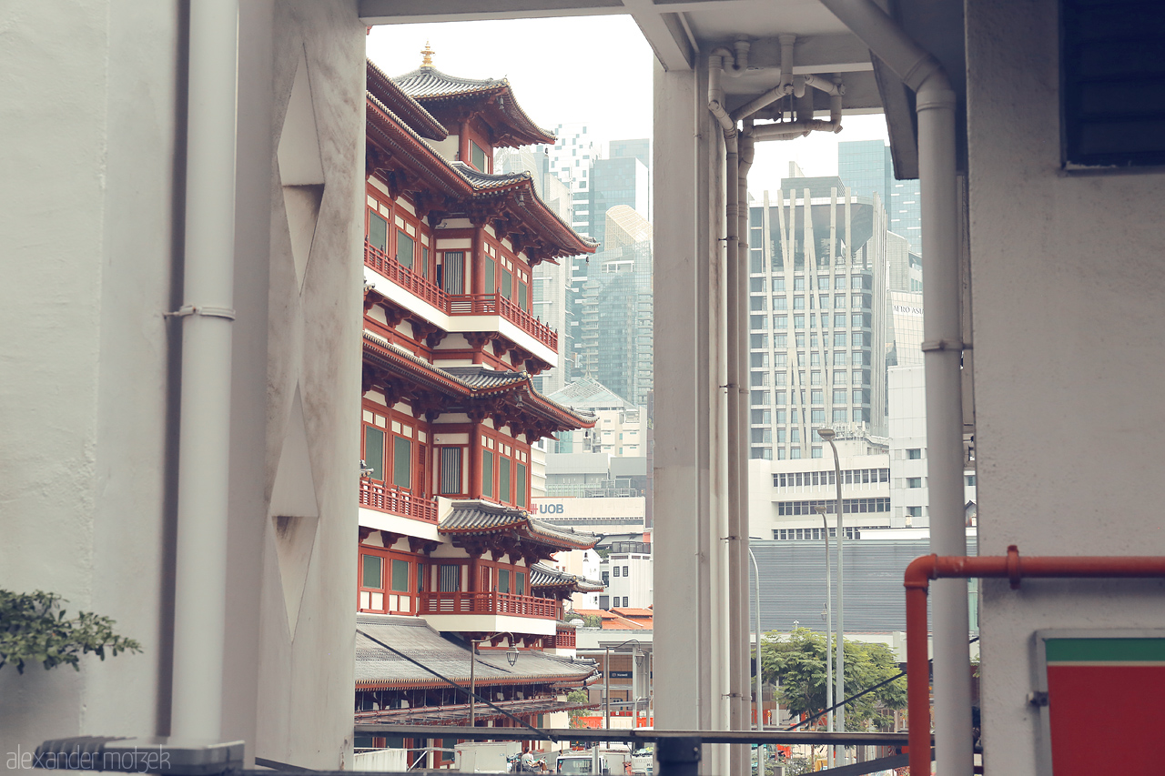 Serenity Amidst Skyscrapers Foto von A peaceful pagoda stands in contrast to modern skyscrapers in Singapore's Chinatown, capturing the confluence of tradition and urban life.