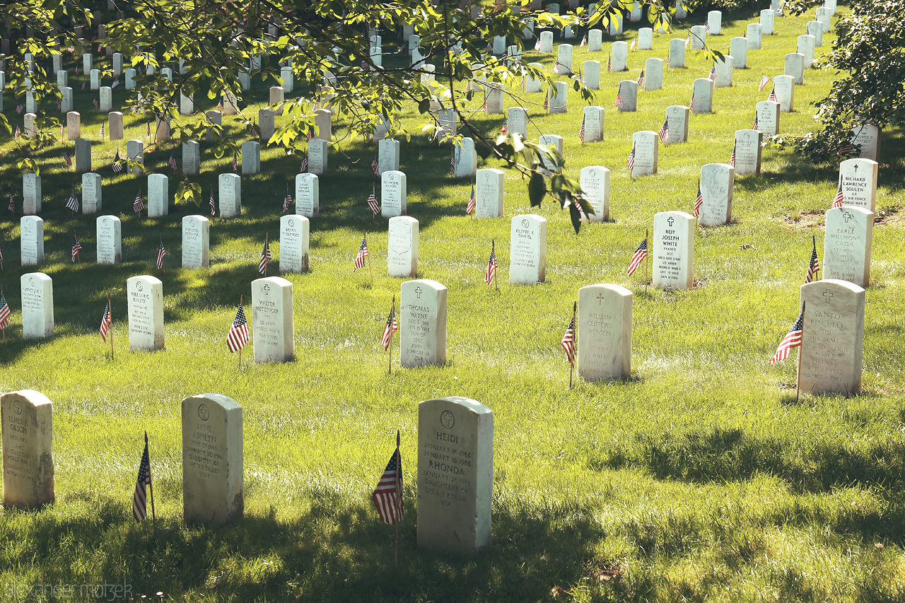 Eternal Valor Greenscape Foto von A serene view of Arlington National Cemetery, where rows of headstones are adorned with American flags under dappled sunlight.