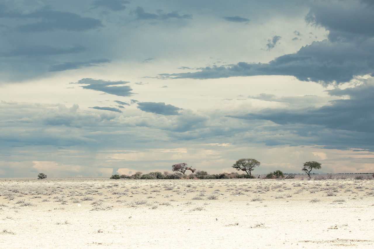 Oshana Silhouettes Foto von A serene vista of Etosha's white plains, dotted with acacia trees under a vast sky.
