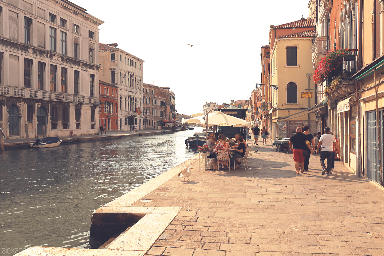 Sussurri del Serenissima Foto von A sun-kissed Venetian canal lined with historic buildings, bustling with life and leisure under Italy's azure skies.