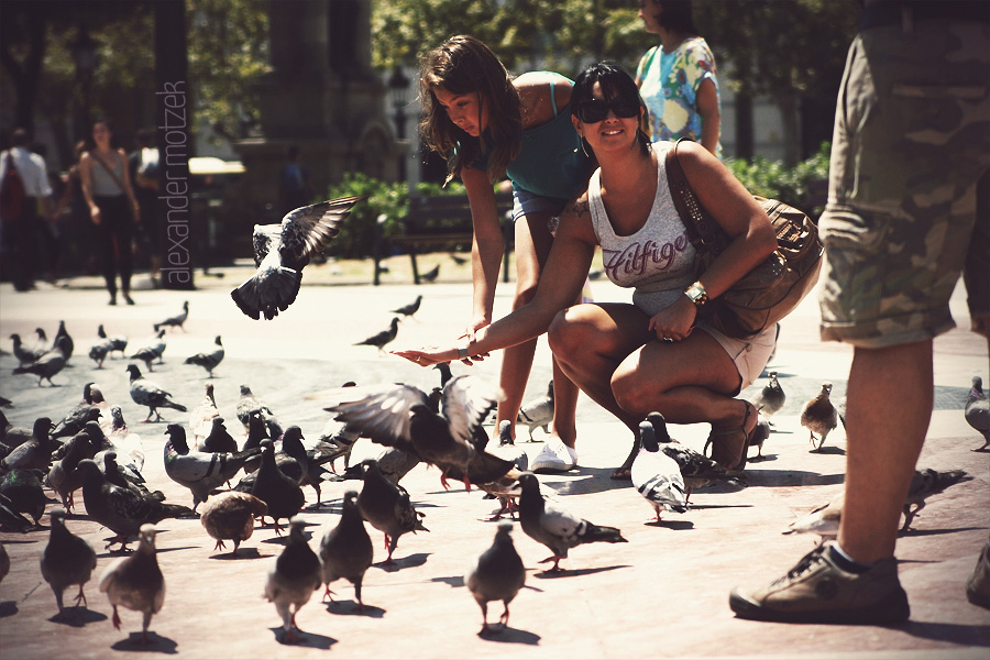 Palomas en la Rambla Foto von A sunny day in Barcelona's bustling square where locals and tourists gather amidst playful pigeons.