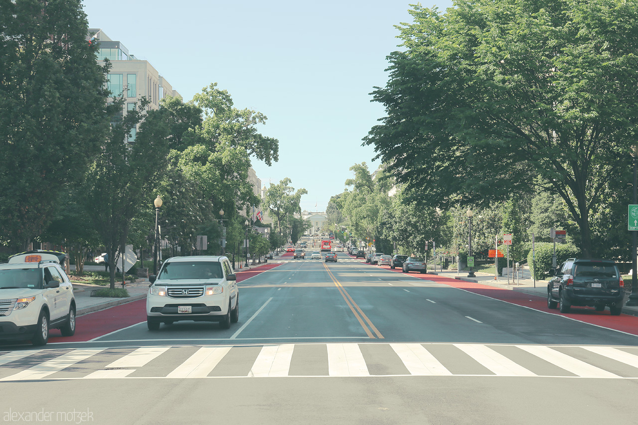 Liberty Lanes Foto von A tranquil street in Washington, D.C., lined with lush trees and vibrant red bus lanes, leads the way to the city's iconic landmarks.
