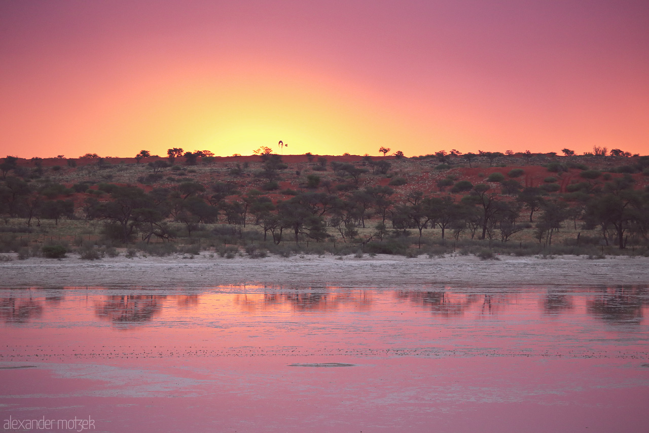 Purple Dawn Foto von A vibrant desert sunrise paints the Kalahari sky and reflects on a serene waterbody in Namibia.