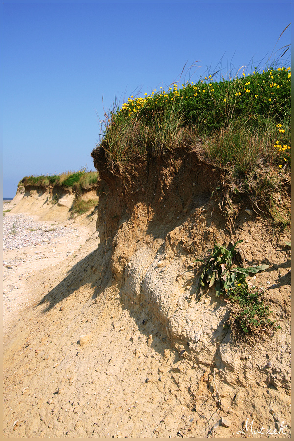 Foto von Danmark Römö