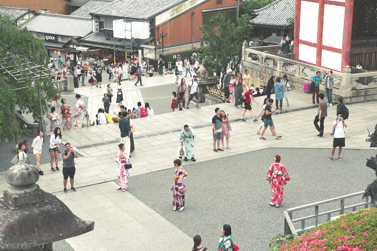Kiyomizu-dera
Foto von Blick vom historischen Tempel Kiyomizu in Kyoto