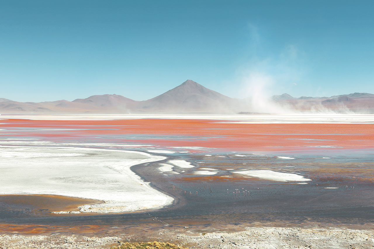 Foto von Die rote Laguna Colorada mit Flamingos in der Salzwüste Salar de Uyuni