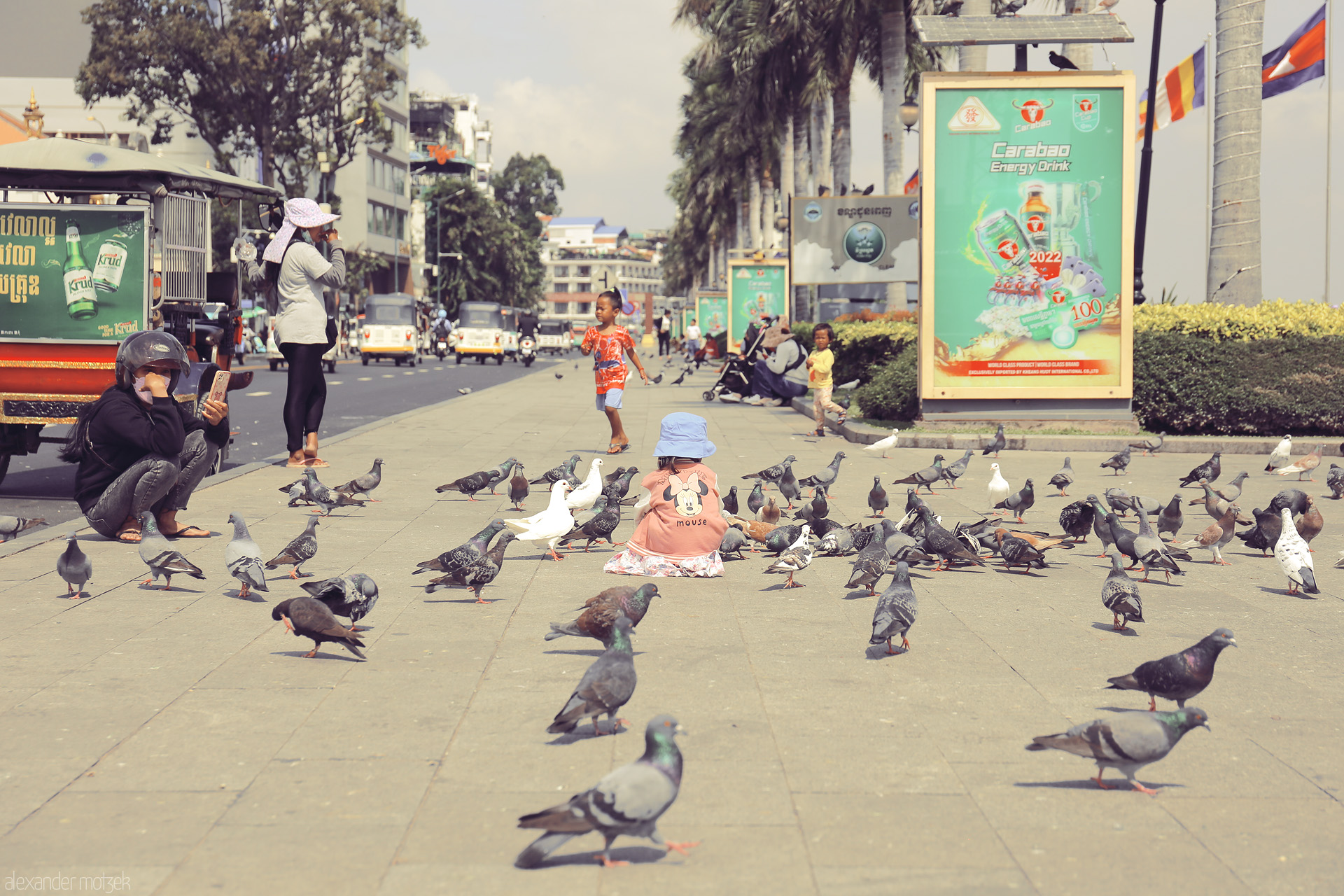 Semaphore of Sparrow Foto von A child sits among pigeons on Phnom Penh’s lively riverside, city life unfolding under palm trees in the heart of Cambodia.