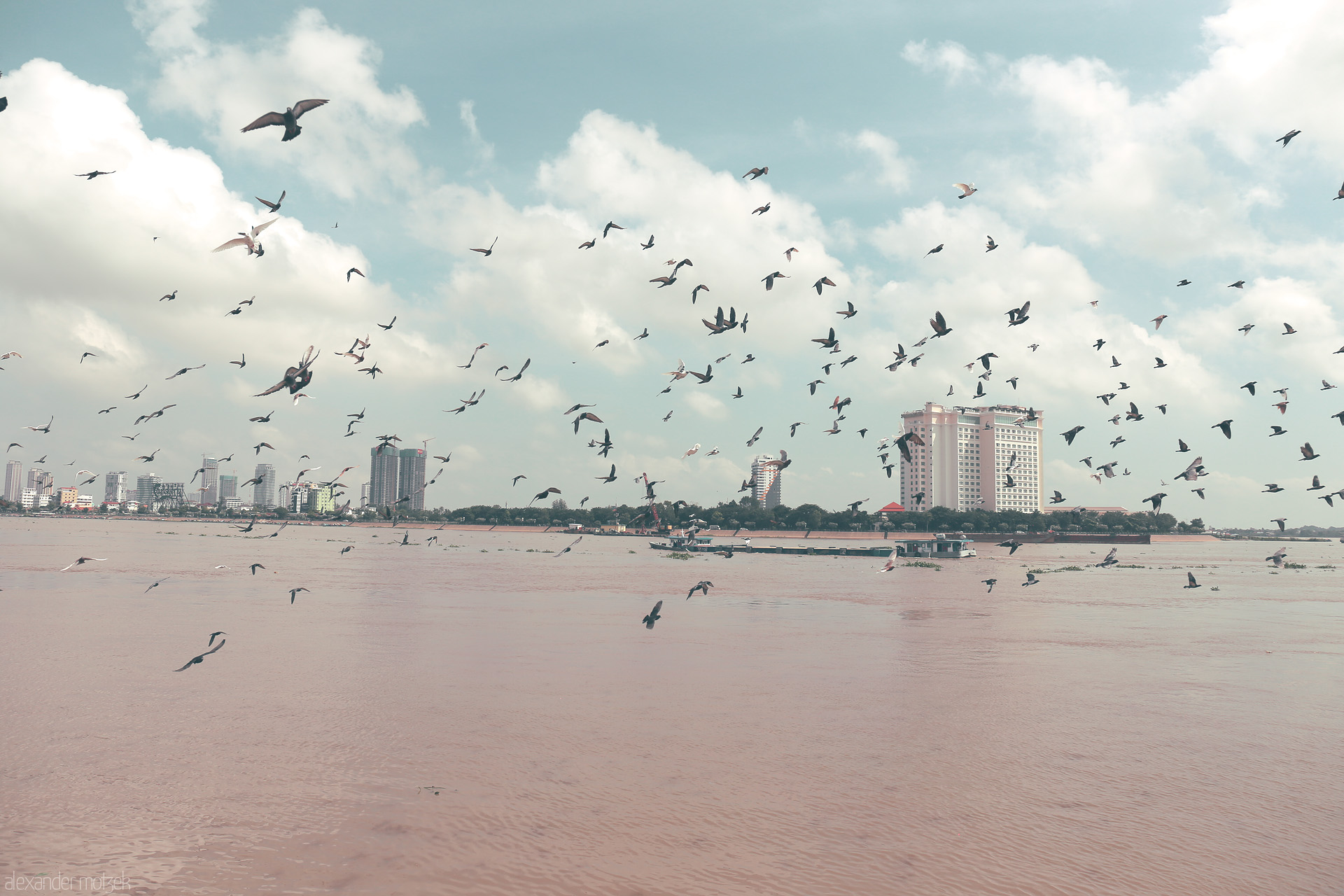 Mekong Soaring Foto von A flock of birds dances above the muddy Mekong, Phnom Penh skyline rising on the horizon under pastel skies in Cambodia’s vibrant heart.