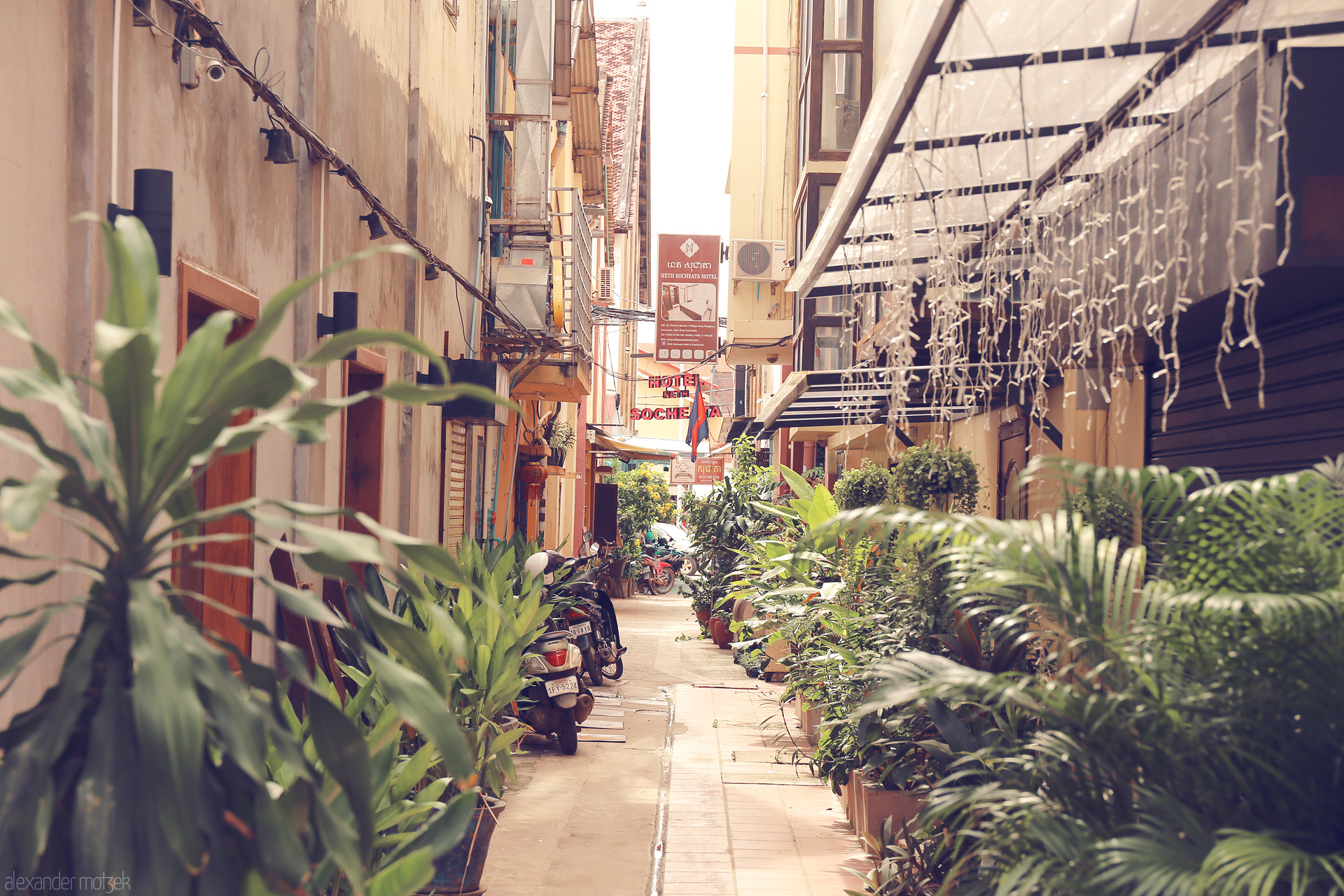 Sok Sabay Alley Foto von A lush, plant-lined alley with classic Khmer signs and motorbikes in sun-soaked Siem Reap, Cambodia.