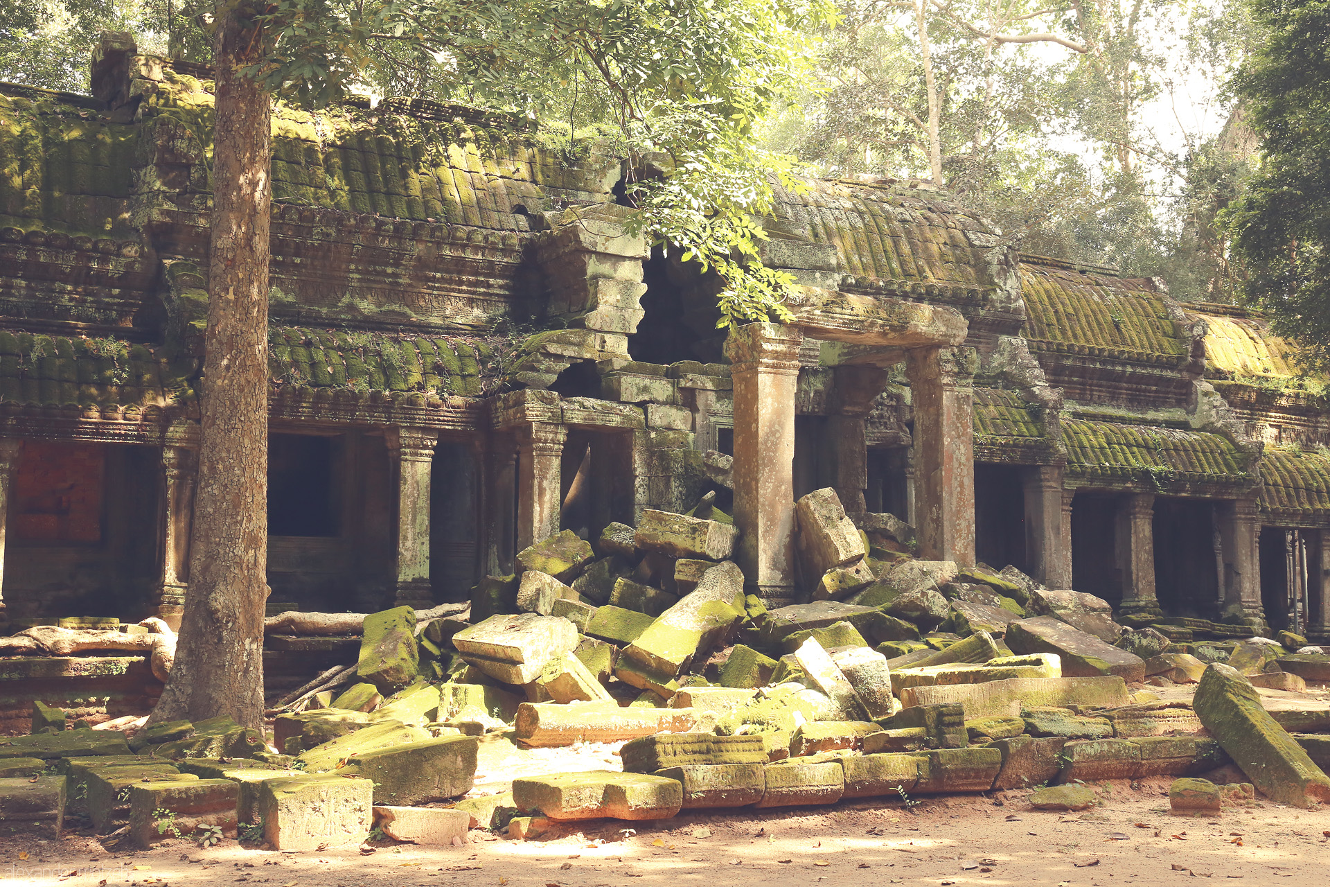 Temple in Twilight Foto von Ancient Khmer temple ruins draped in moss and dappled sunlight, hidden within Angkor Wat’s lush jungles of Siem Reap, Cambodia.