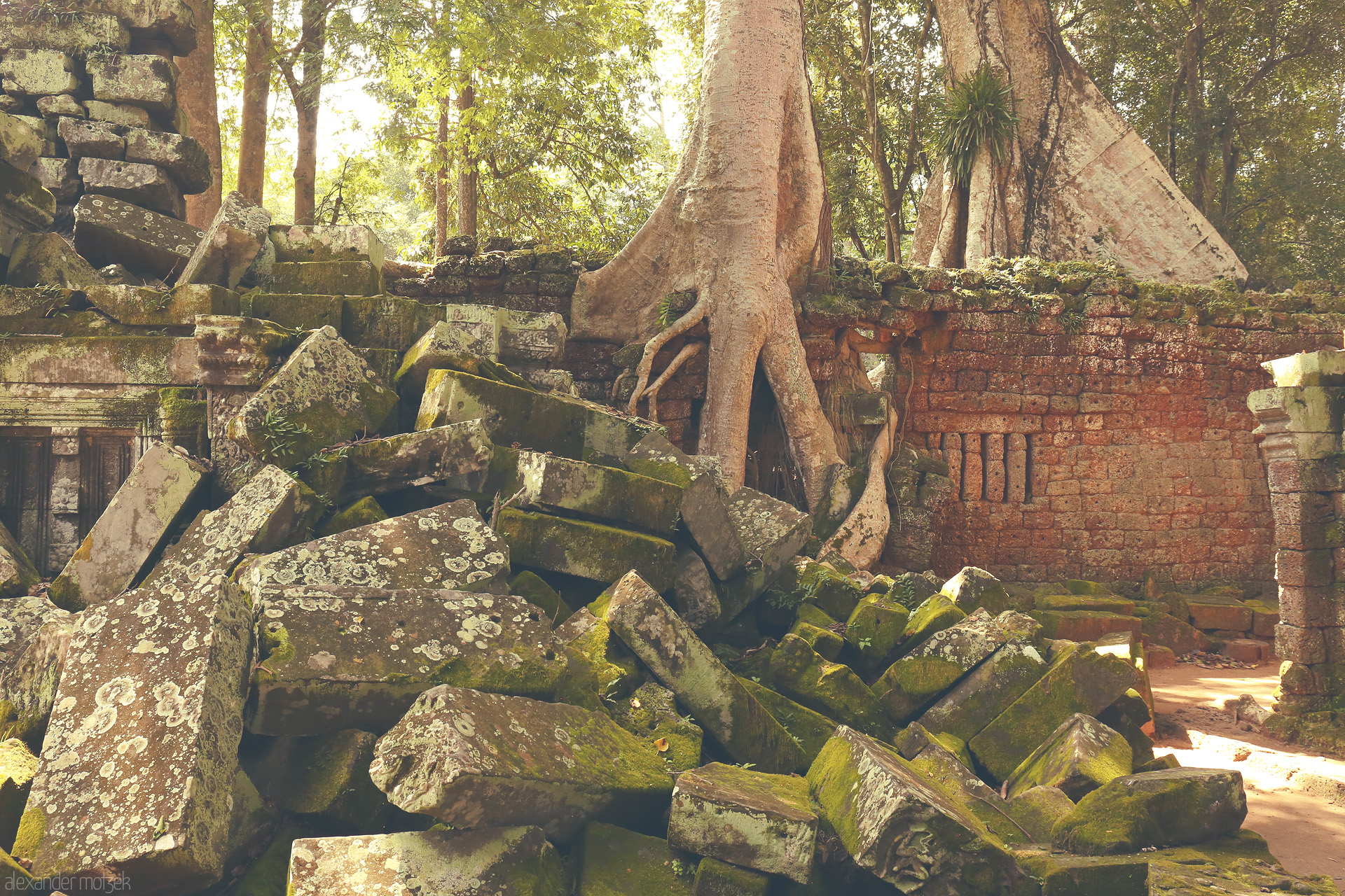 Ta Prohm Embrace Foto von Mossy stones toppled by time, ancient roots entwine Ta Prohm’s ruins at Angkor Wat, Siem Reap, Cambodia.