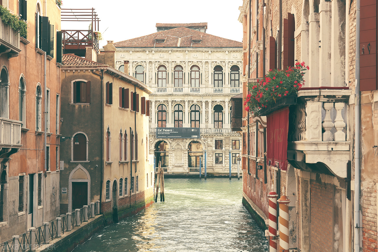 Venezia Vignettes Foto von Charming canal flanked by historic Venetian architecture and a hint of flourishing flora.