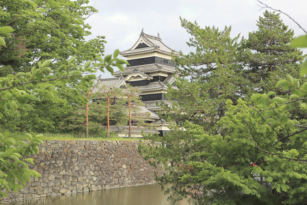 Matsumoto Foto von Das schwarze Schloss Matsumoto hinter Bäumen versteckt