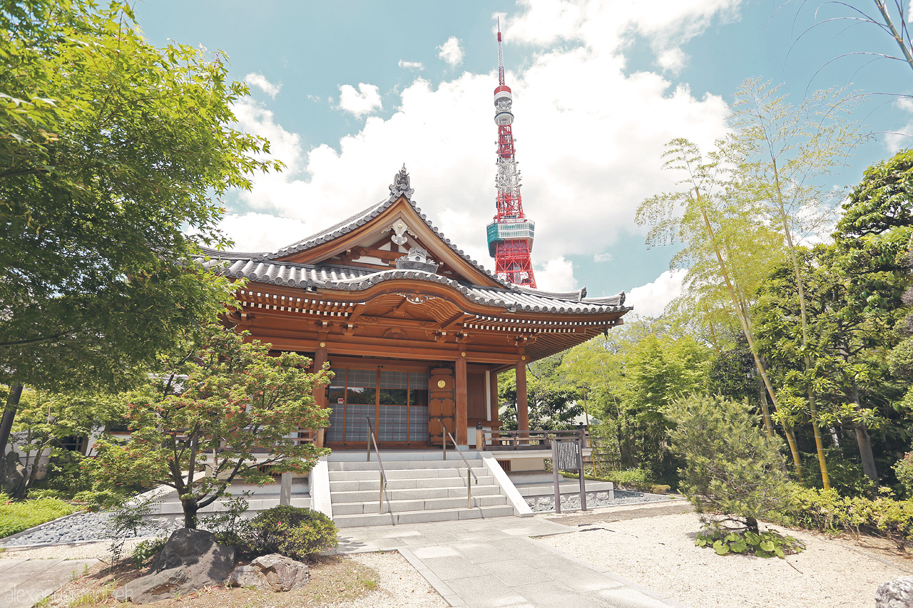 Zojoj Foto von Der Zojoj Tempel im Vordergrund des riesigen Tokyo Towers