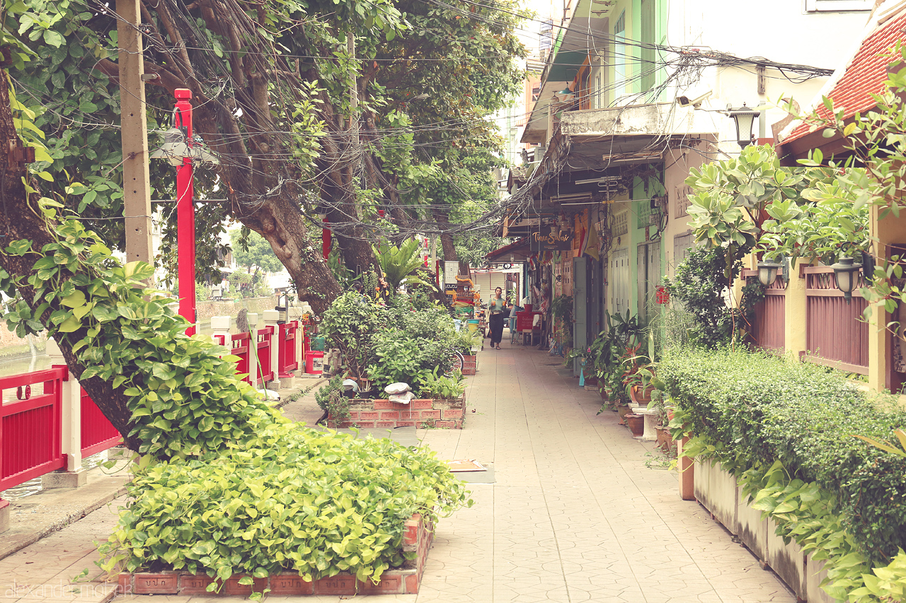 Thai Tranquility Foto von Discover a peaceful alley in Bangkok, Thailand, adorned with vibrant greenery and local charm, away from the bustling city streets.