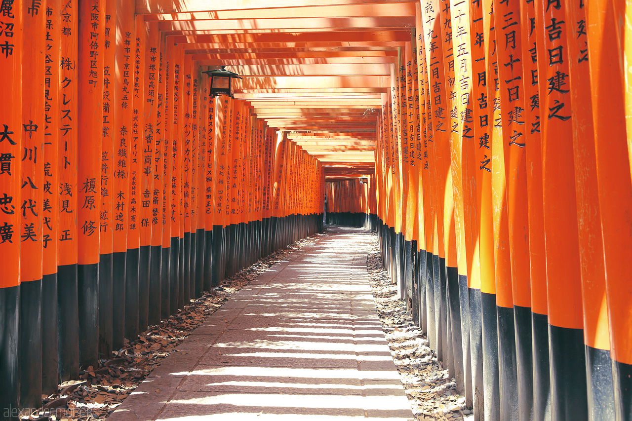 Fushimi Inari Foto von Ein riesiger Wall an Toriis erstreckt sich hinauf des Berges in Fushimi Inari
