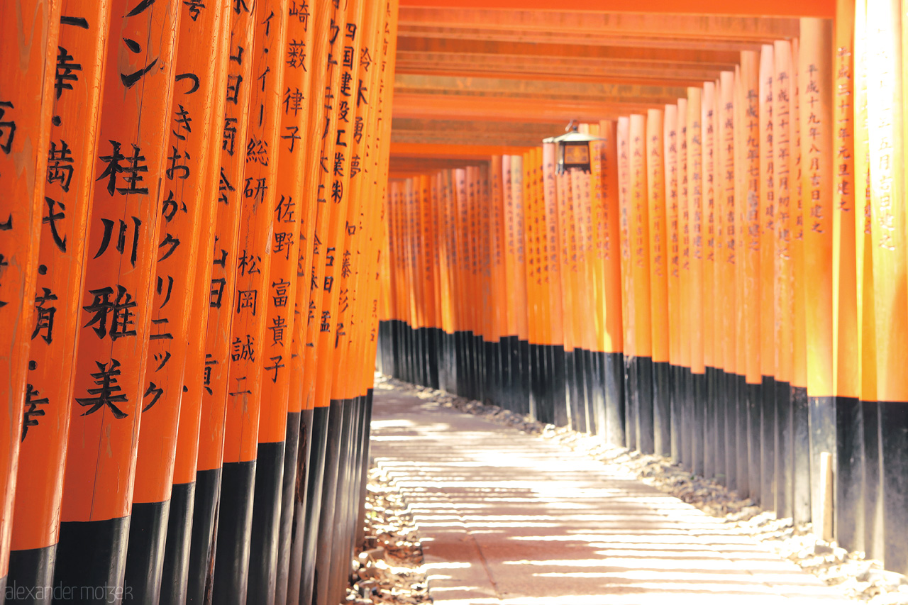 Fushimi Inari Foto von Ein riesiger Wall an Toriis erstreckt sich hinauf des Berges in Fushimi Inari