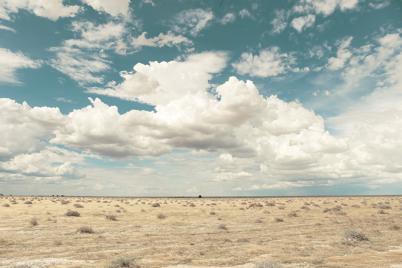 Etosha's Ephemeral Vastness Foto von Expansive view of Etosha's plains under a dramatic sky, hinting at its wild, untouched essence.