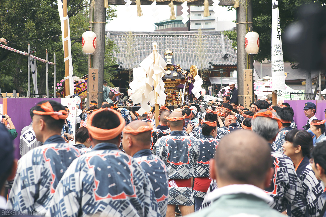 Sanja Matsuri Foto von Feier des Sanja Matsuri in Tokyo