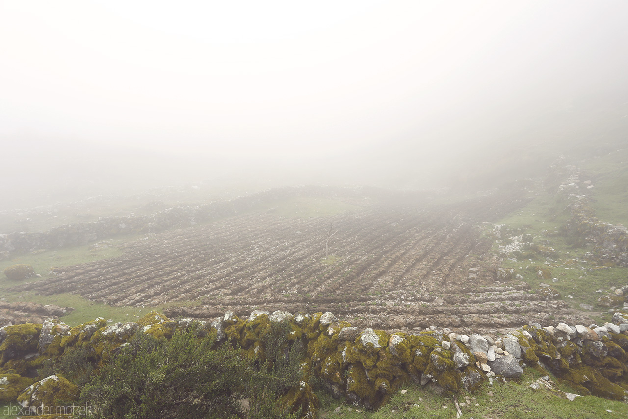 Campo en Salkantay Foto von Feld im Nebel entlang dem Salkantay Trek