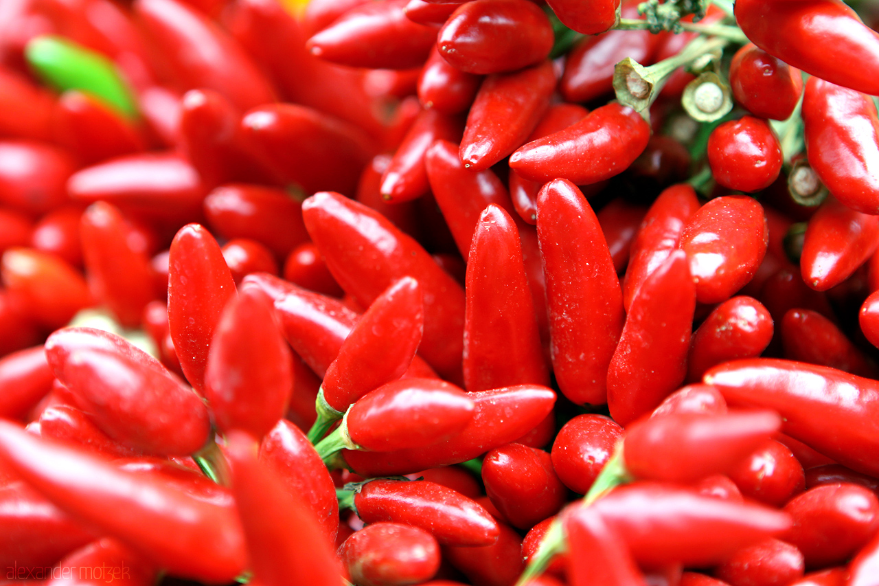 Foto von Chili Schoten auf dem Markt