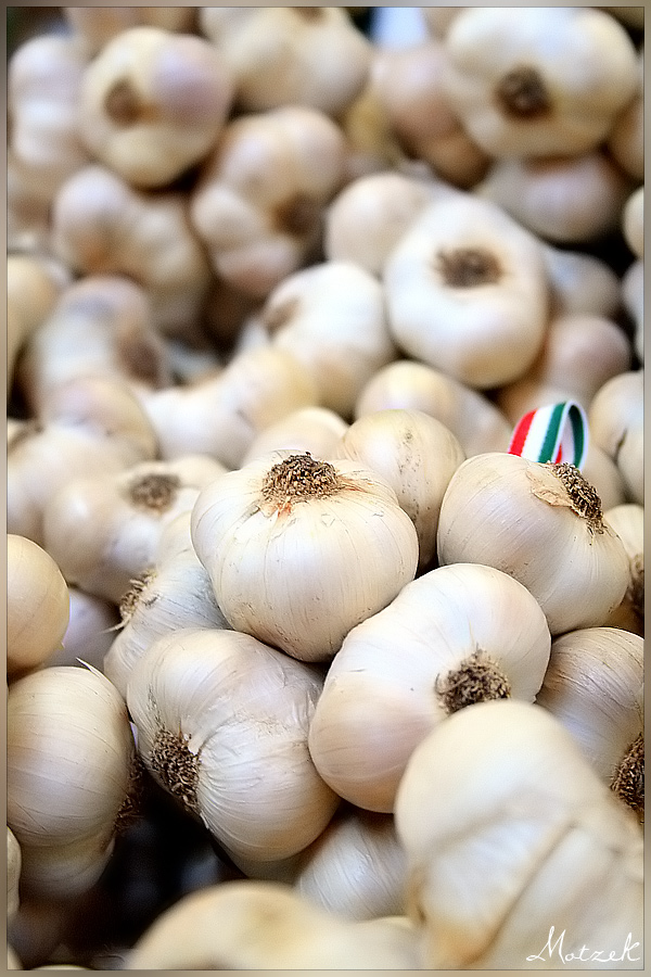 Foto von Knoblauch Haufen Markt Makro