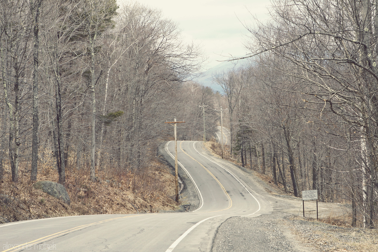 White Mountains Foto von Geschwungene Straßen durch Wald in den USA
