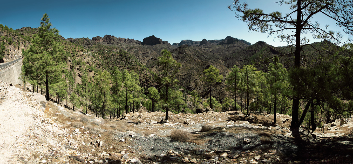 Gran Canaria - Pines Foto von Gran Canaria Roque Nublo umgeben von Pinien