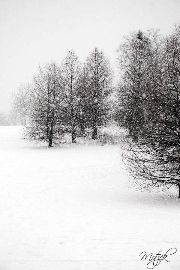 Foto von Hamburg Snow