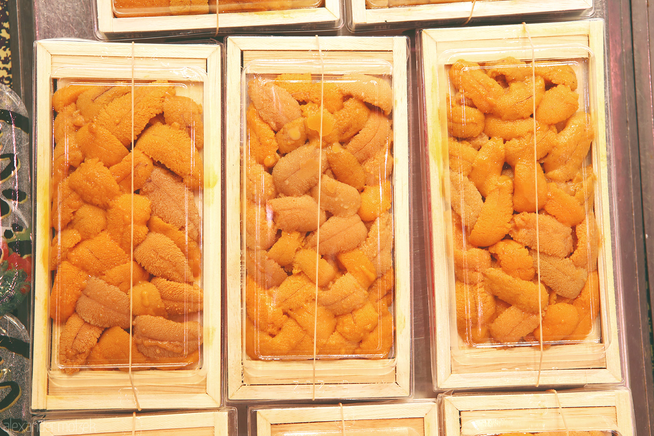 Uni Foto von Holzboxen mit Uni auf dem Omicho Markt