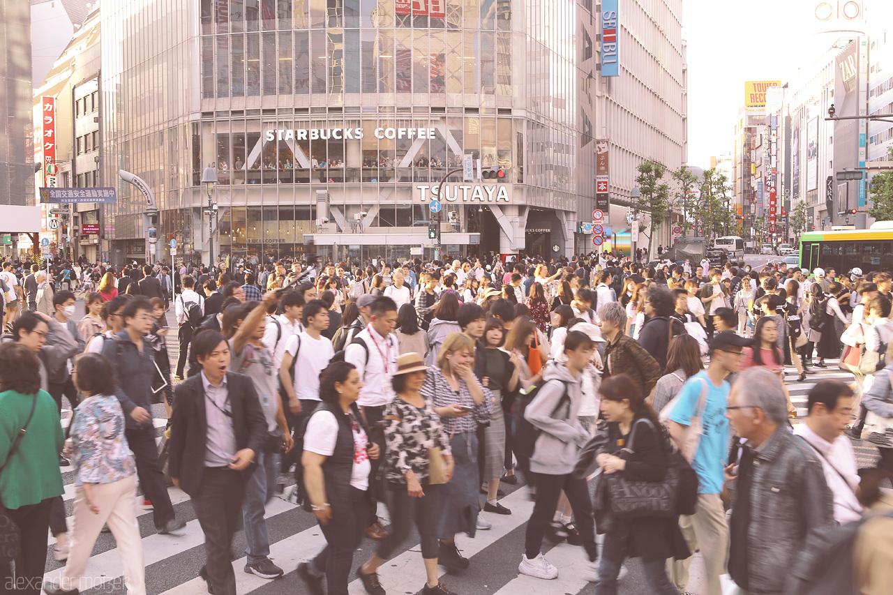 Tsutaya Foto von Hunderte Menschen überqueren die Shibuya Kreuzung im Abendlicht