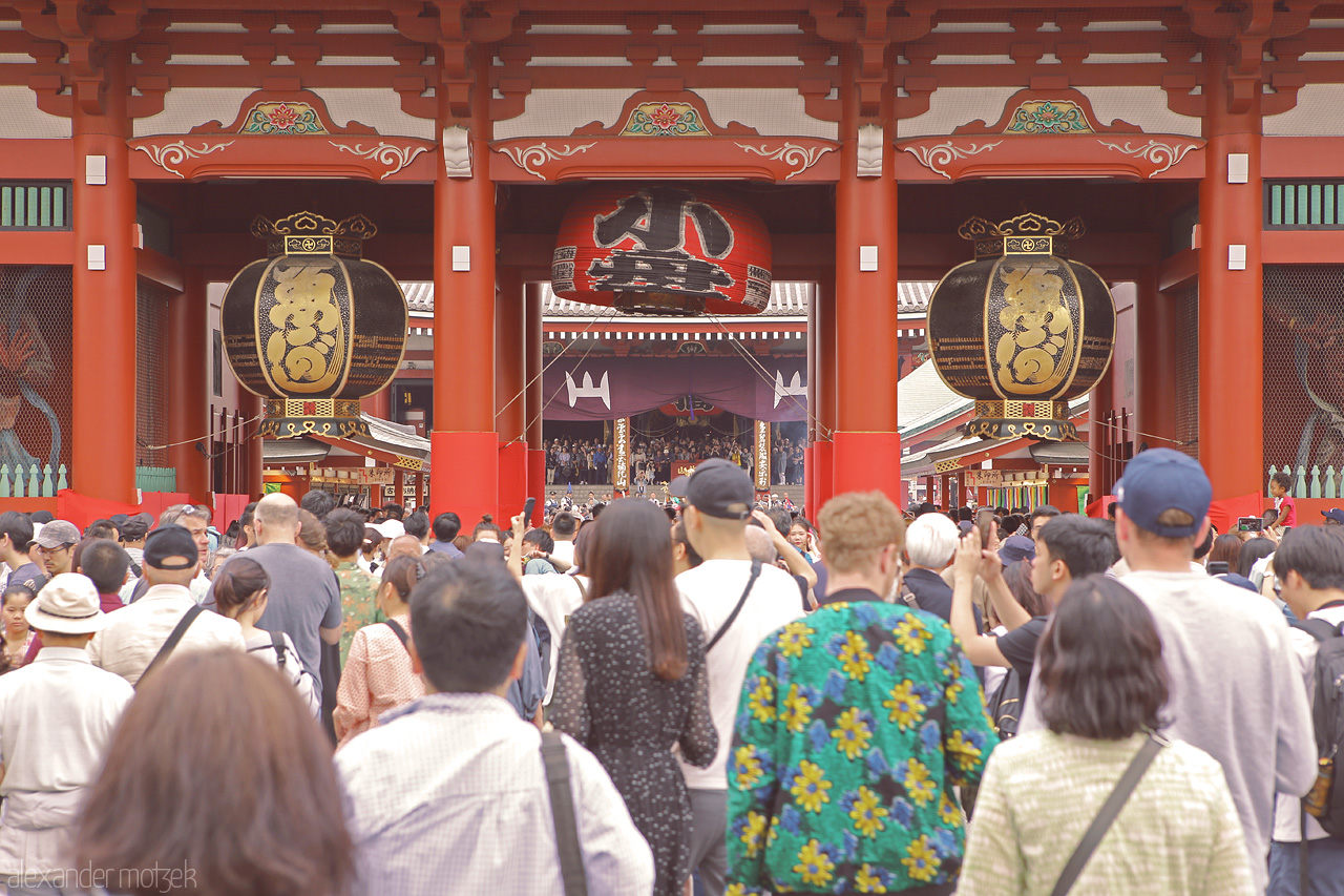 Foto von Feier des Sanja Matsuri in Tokyo vor großem roten Tempel