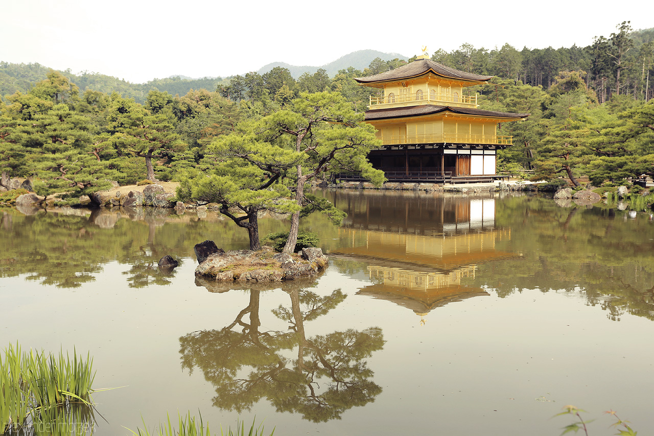Foto von Goldener Palast Kinkaku-ji in Kyoto am frühen Morgen