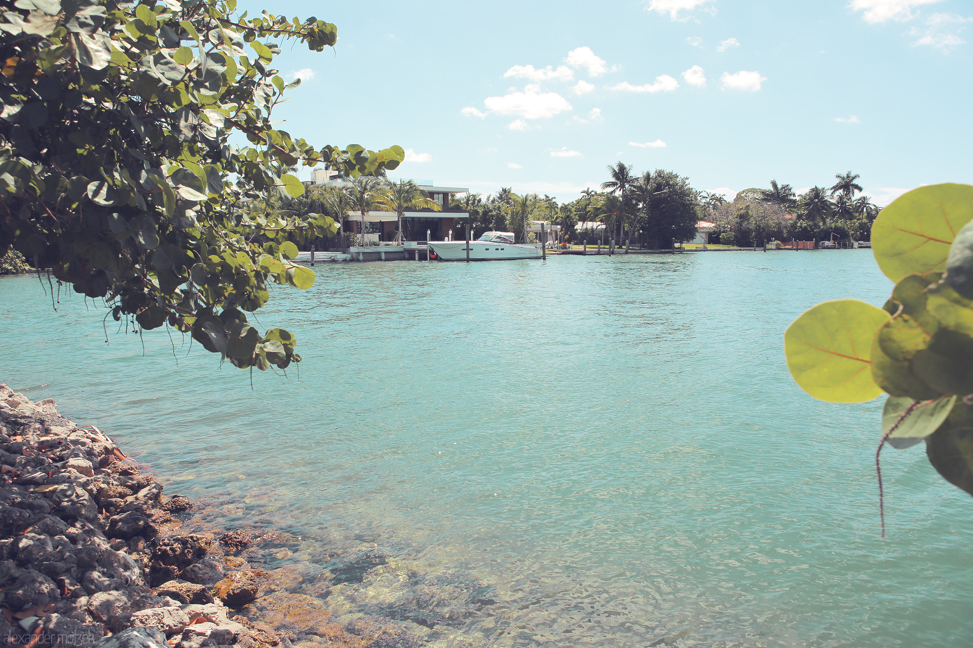 Aqua Havana Foto von Lush greenery meets tranquil turquoise waters in Miami's serene coastal escape.