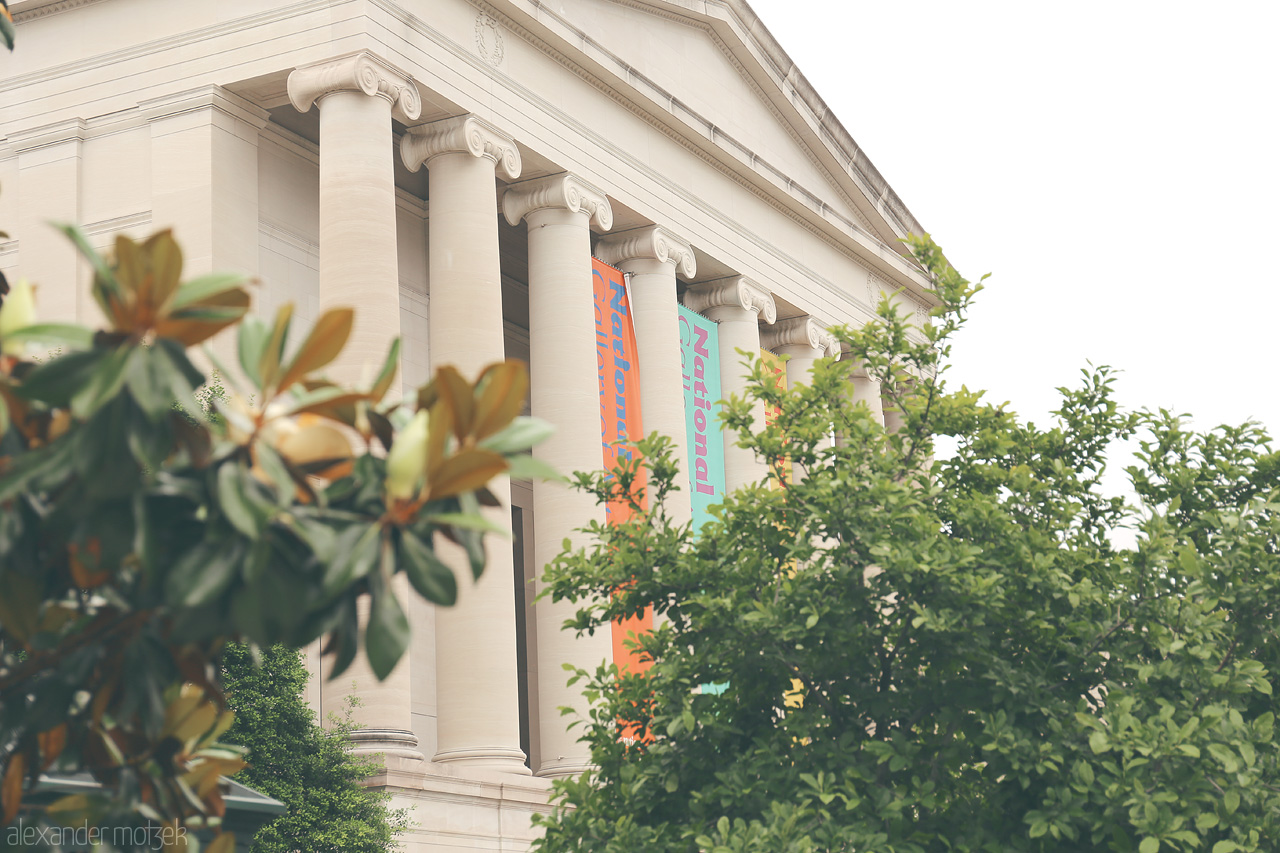 Columns of Capitol Foto von Majestic columns of a Smithsonian museum in Washington, D.C., framed by lush foliage.