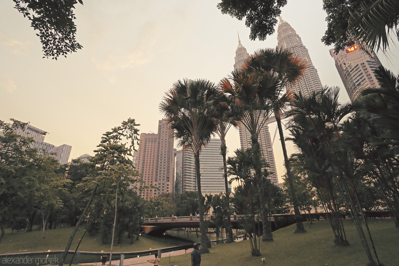 Petronas Serenade Foto von Discover the majestic Petronas Towers as they rise above lush greenery in Kuala Lumpur, blending urban and natural beauty.