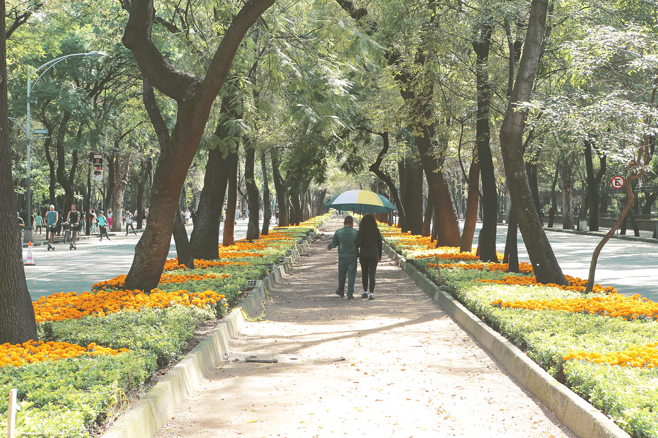Foto von A couple strolls under lush canopies in Miguel Hidalgo, Mexico City, framed by vibrant marigolds.