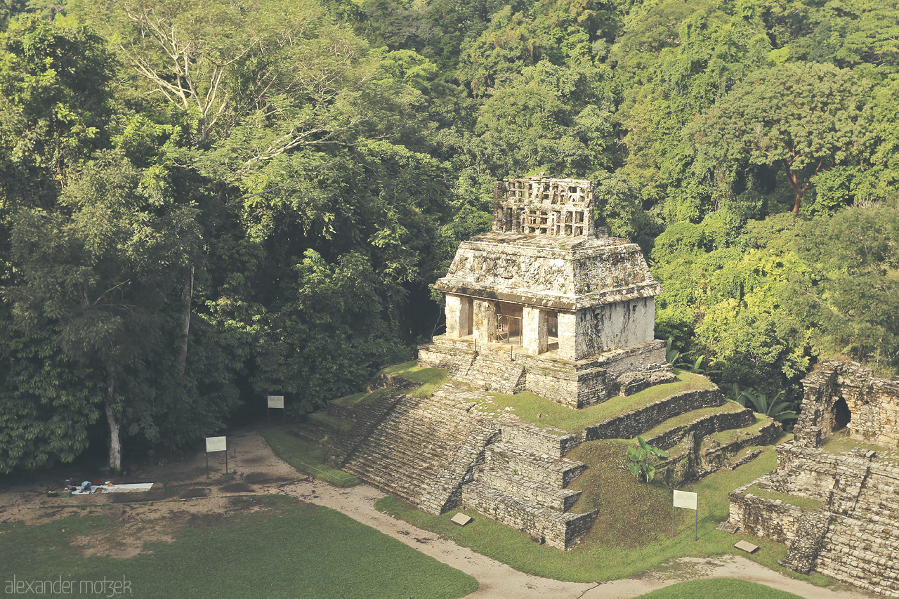 Foto von Ancient Maya ruins rise among the lush forests of Palenque, a testament to Mexico's rich heritage.