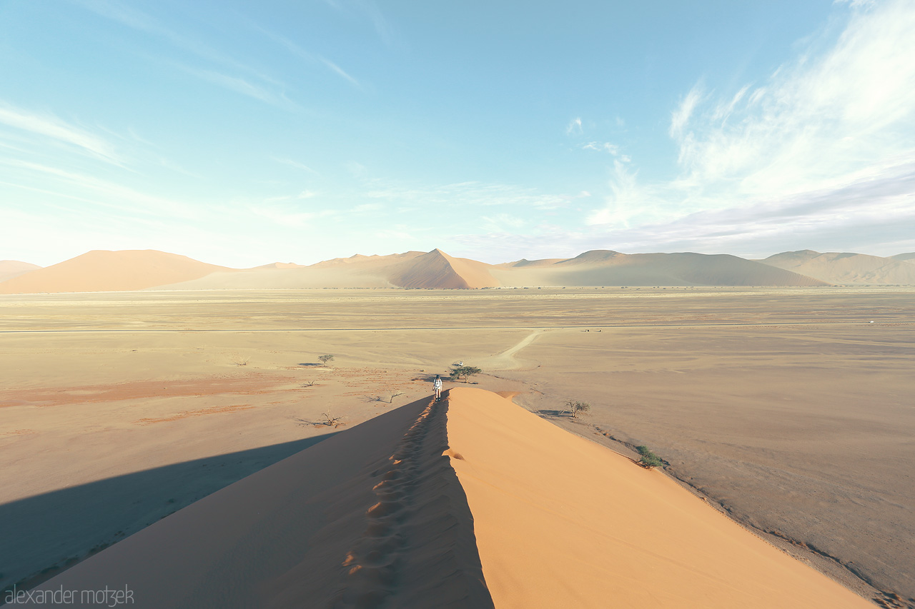Namib's Vastness Foto von A striking Sossusvlei vista with towering sand dunes under a pastel sky, punctuated by lonely acacias.