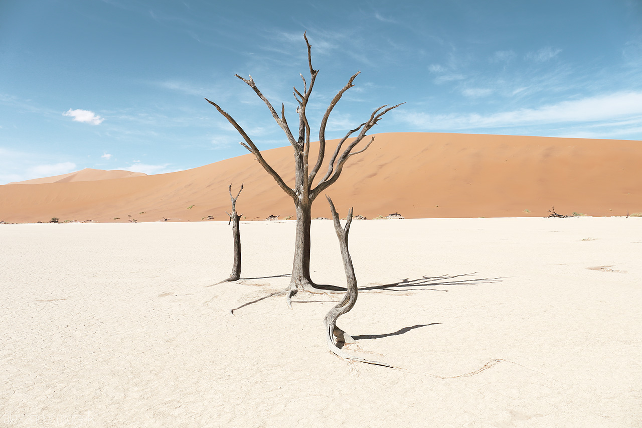 Foto von Bare trees stand in stark contrast against Sossusvlei's orange dunes and blue sky.