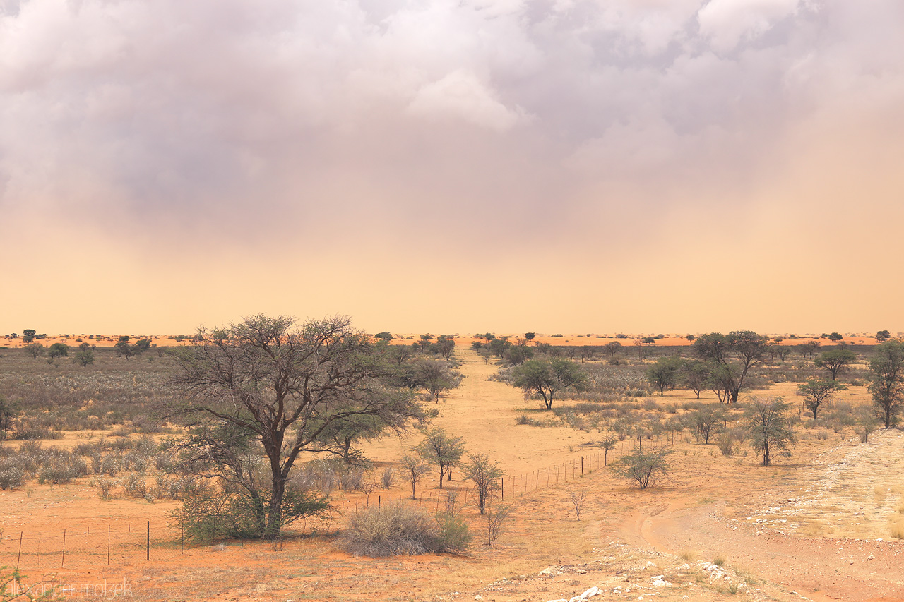 Namib Dusk Foto von Savannah under stormy skies near Hoachanas, Namibia, with acacia trees dotting the landscape.